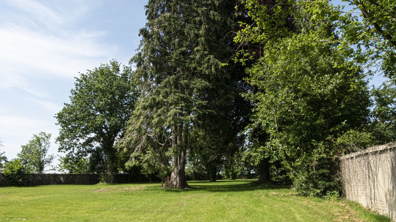 Photo of Outdoor in Bairon-et-ses-Environs