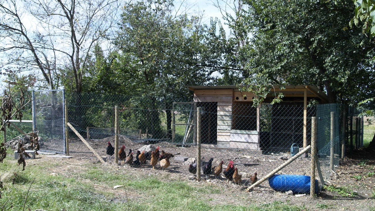 Photo of Outdoor in Gennes-Val-de-Loire