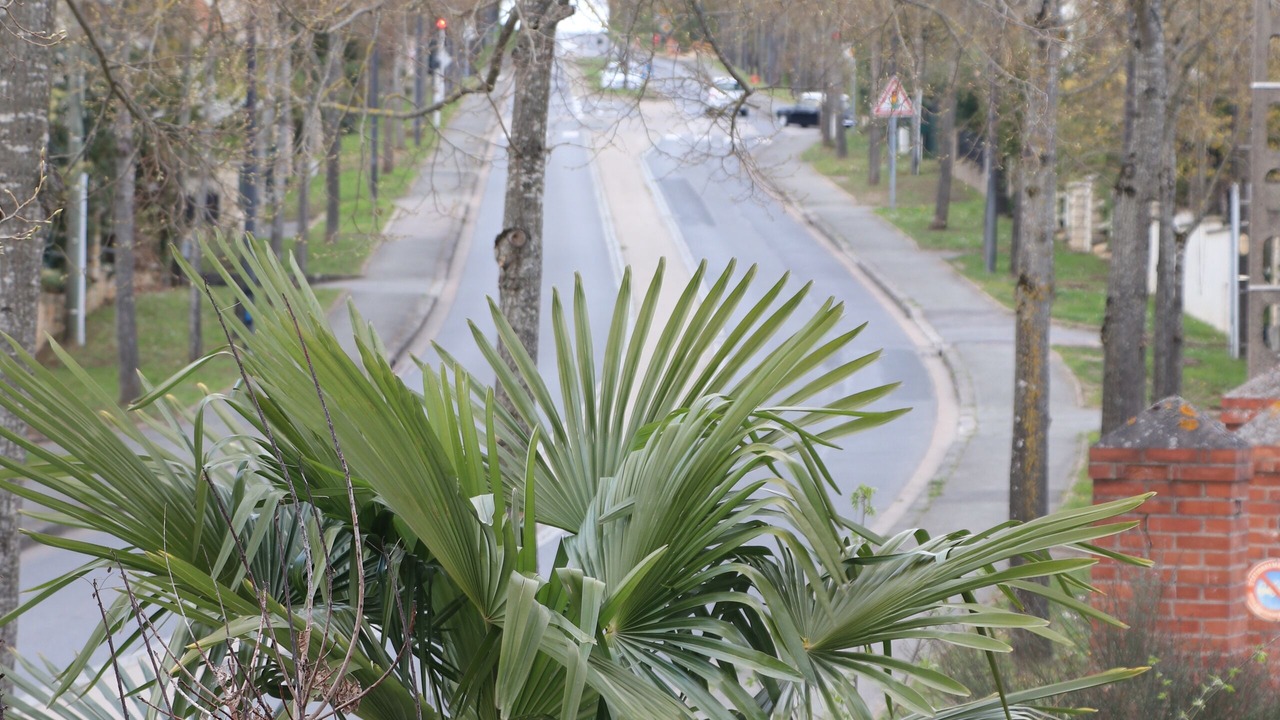 Photo of Outdoor in Dourdan