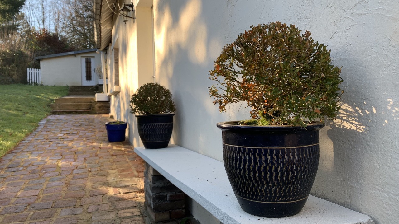 Photo of Outdoor in Vosnon