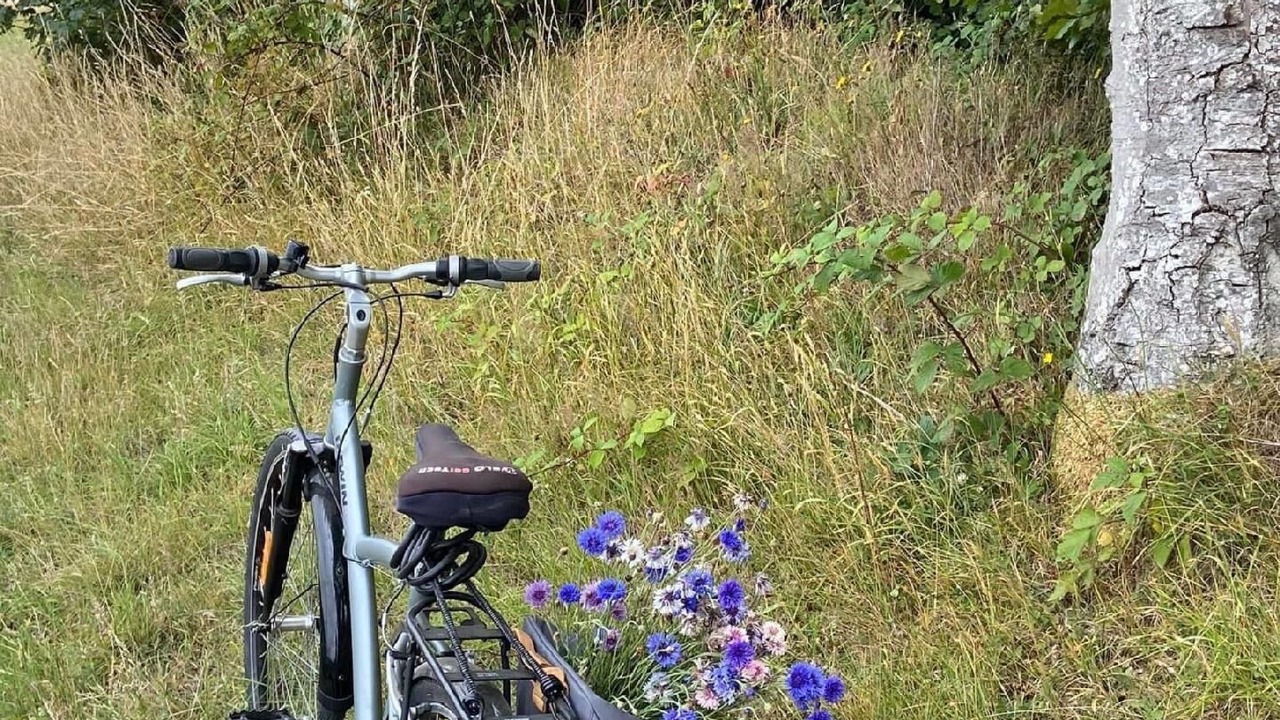 Photo of Others in Bretteville-du-Grand Caux