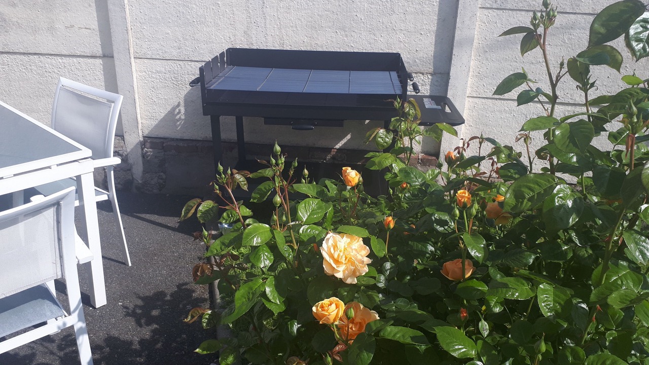 Photo of Outdoor in Woignarue