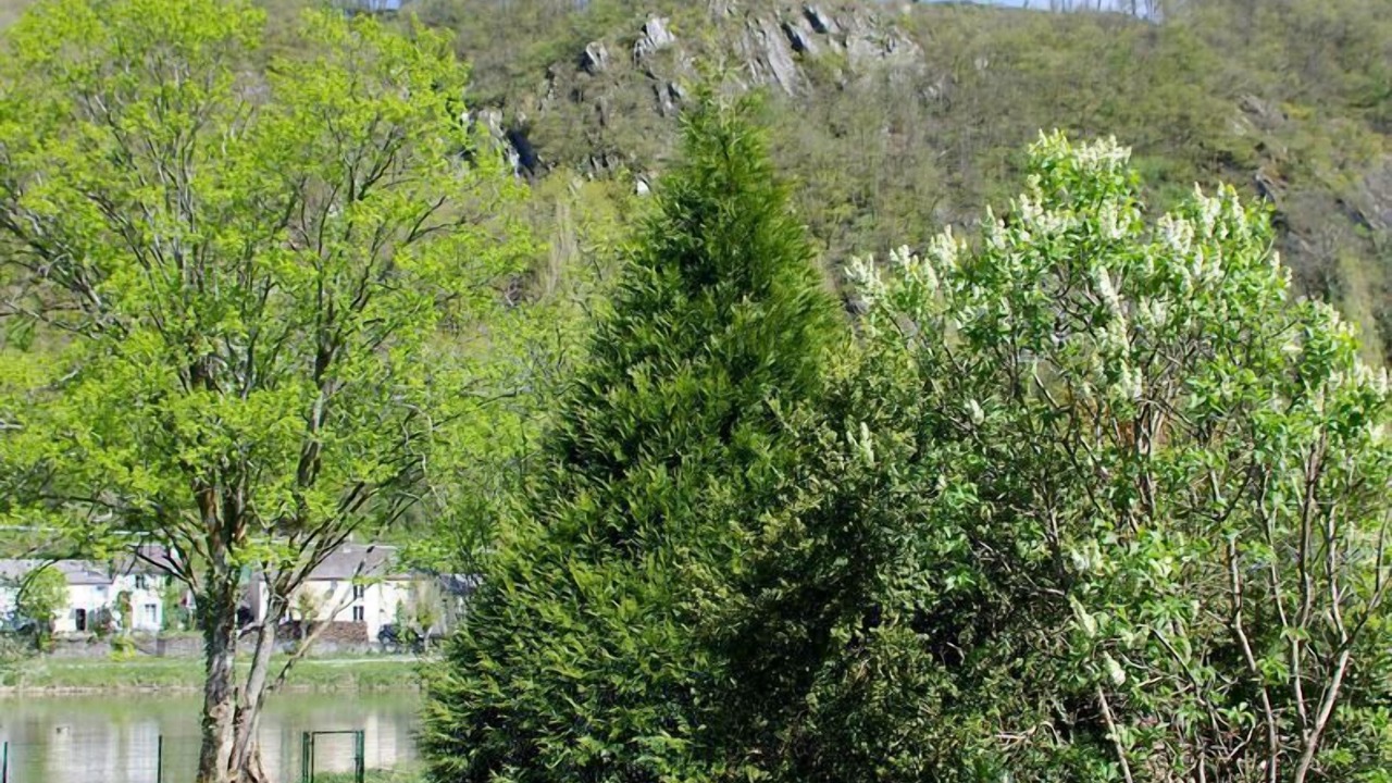 Photo of Outdoor in Joigny-sur-Meuse