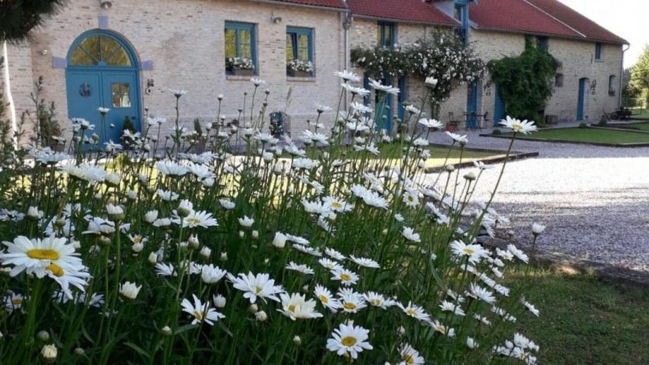 Photo of Outdoor in Quaedypre