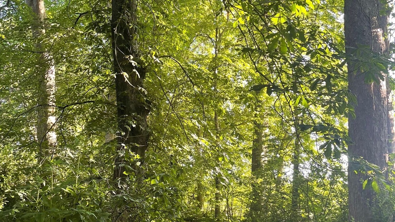 Photo of Outdoor in Hersin-Coupigny