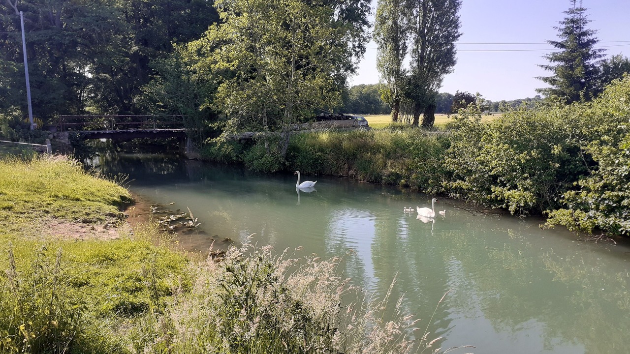 Photo of Others in Louze