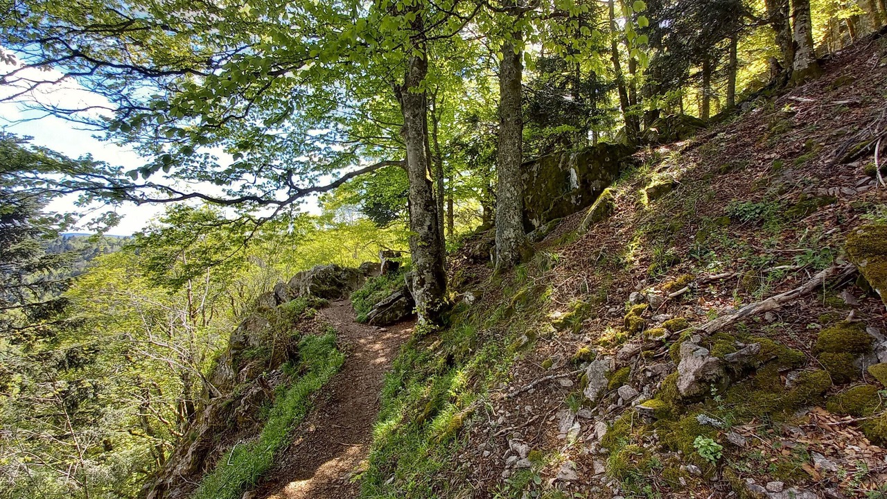 Photo of Outdoor in Rupt-sur-Moselle