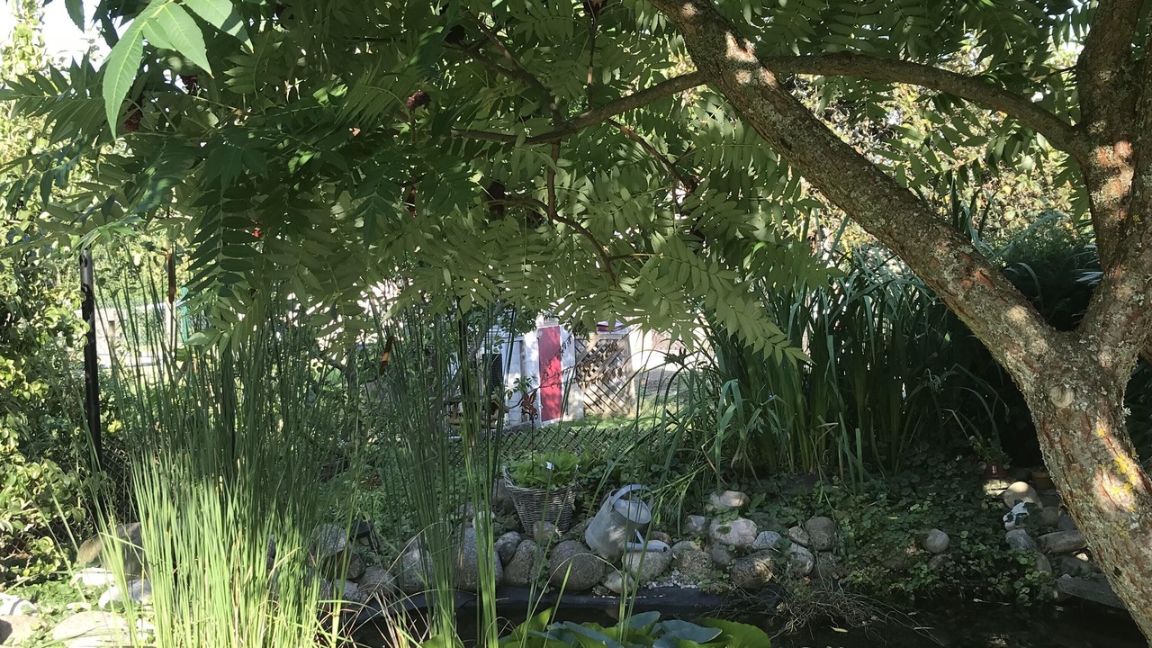 Photo of Outdoor in Guewenheim