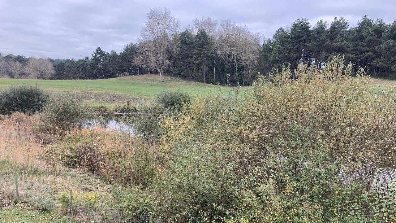 Photo of Outdoor in Belle Dune