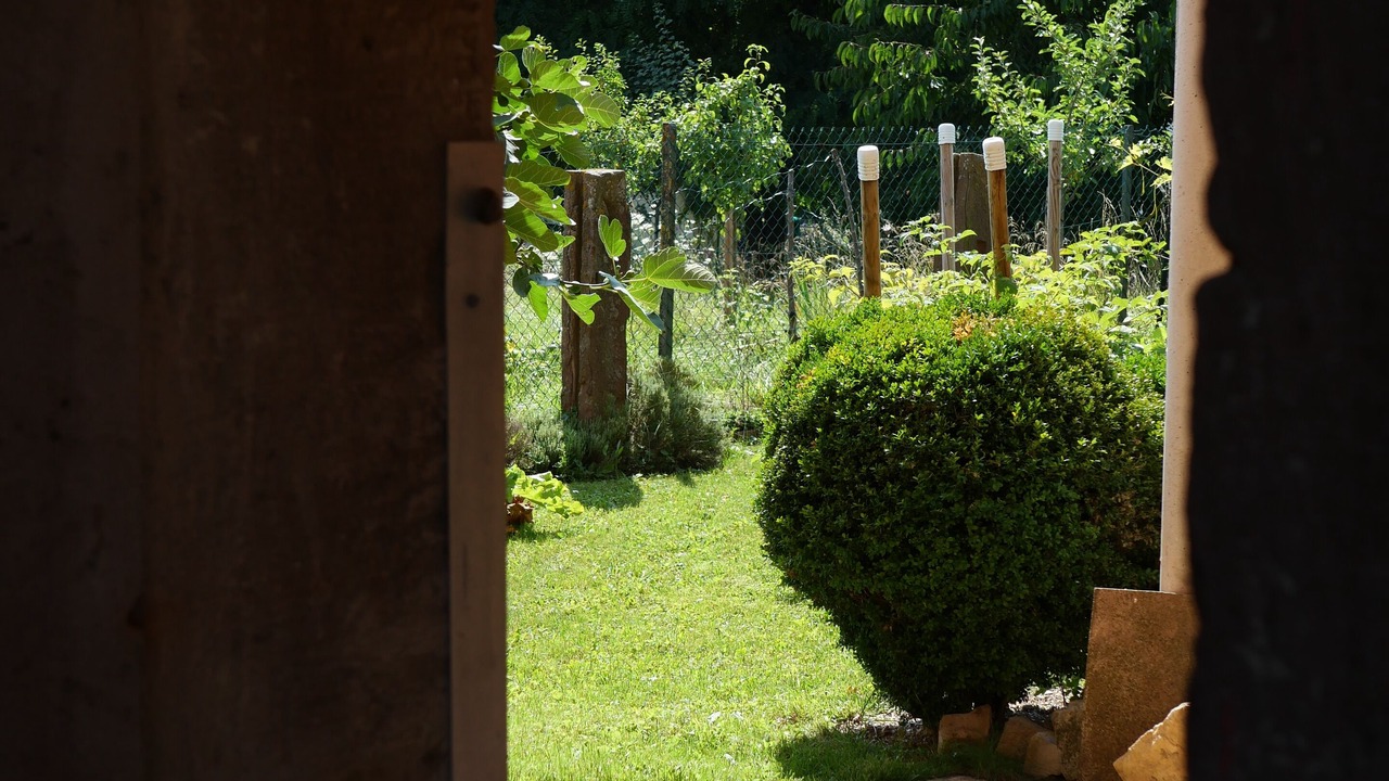 Photo of Outdoor in Gougenheim