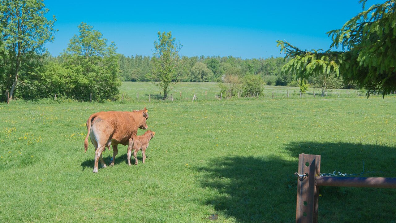 Photo of Outdoor in Vauxaillon