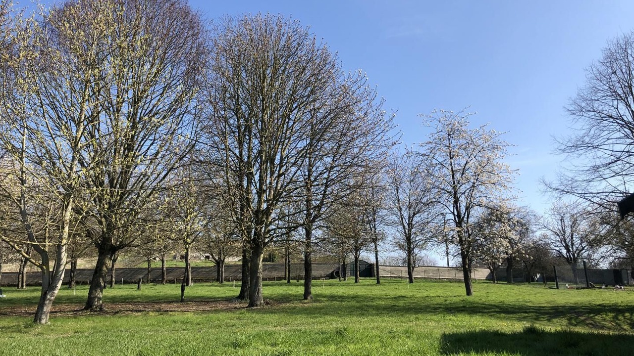 Photo of Outdoor in Olizy-Primat