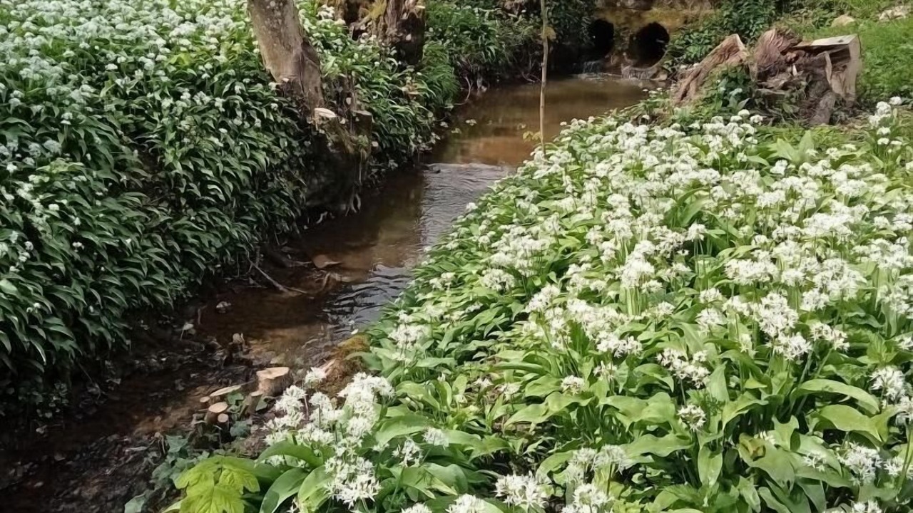 Photo of Outdoor in Saint-Jean-aux-Bois
