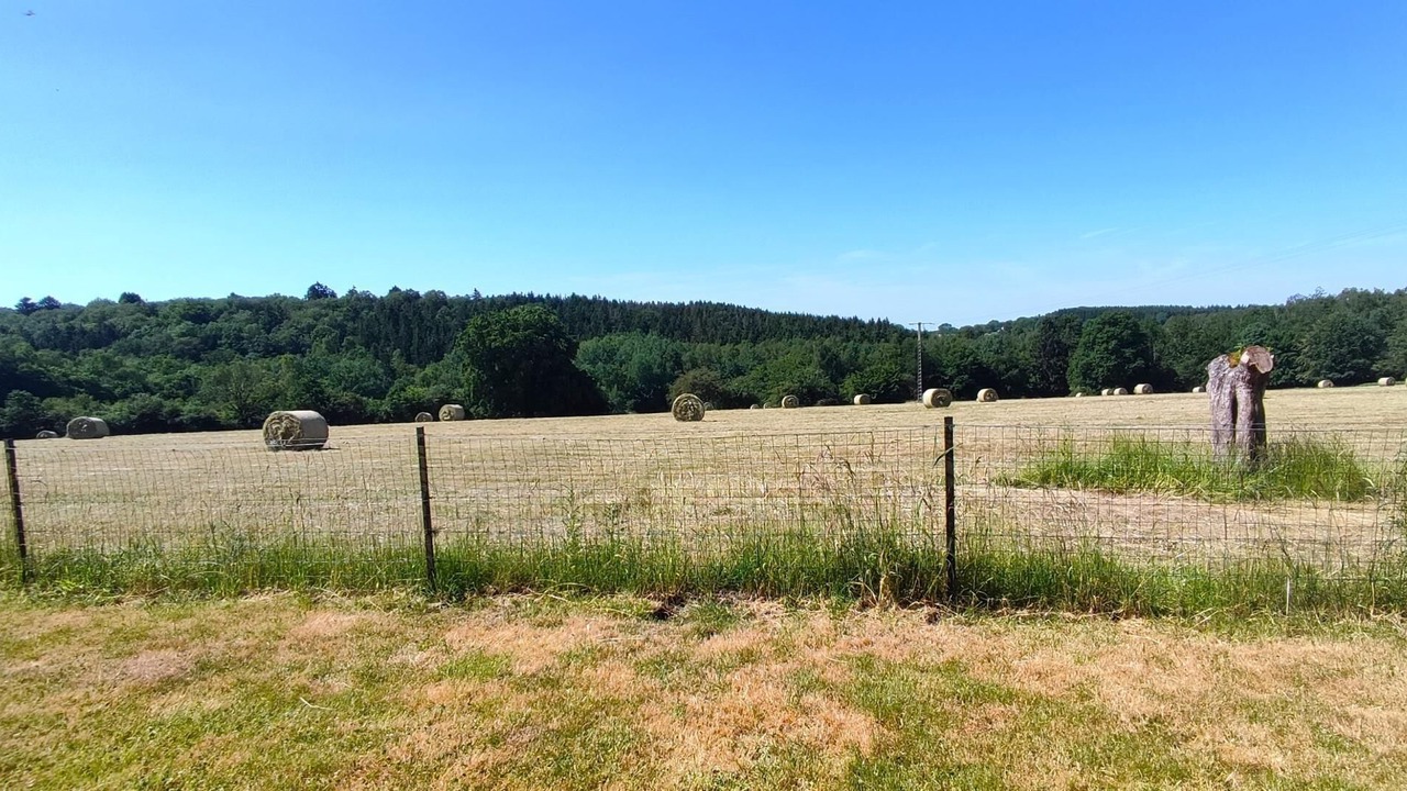 Photo of Outdoor in Brognon
