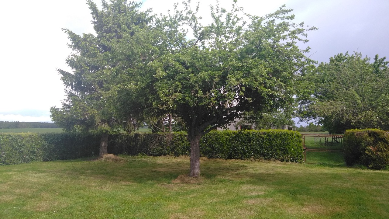 Photo of Outdoor in Champignelles