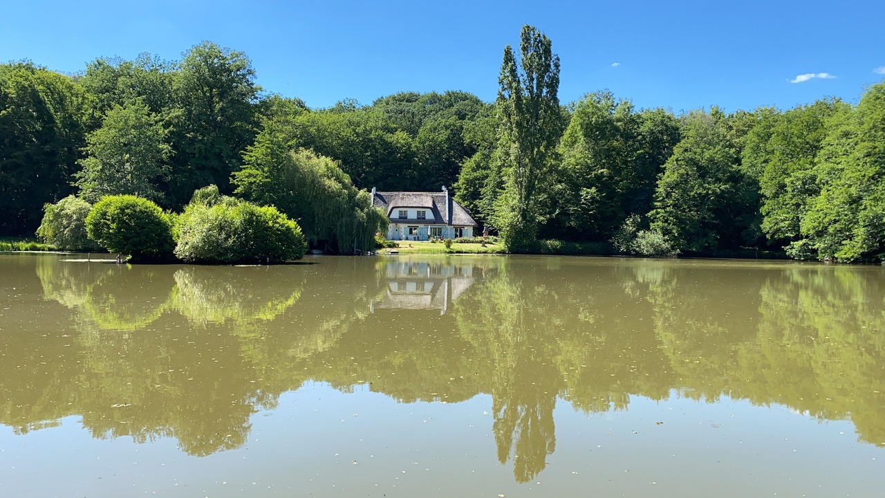 Photo of Outdoor in Savigny-en-Sancerre
