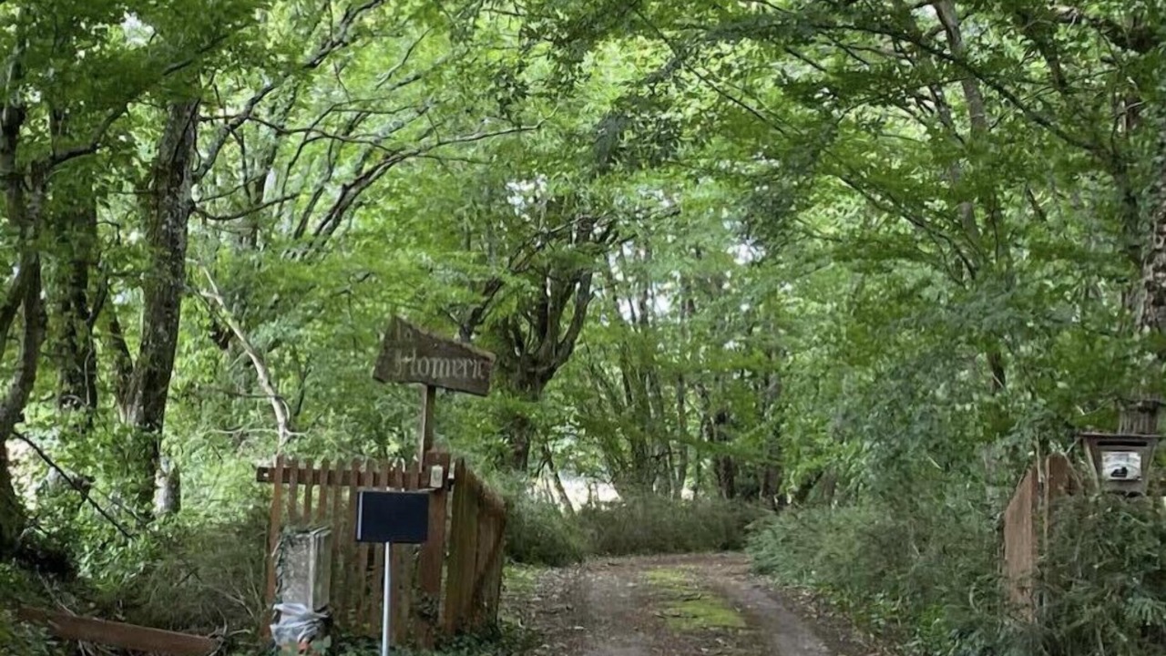 Photo of Outdoor in Savigny-en-Sancerre