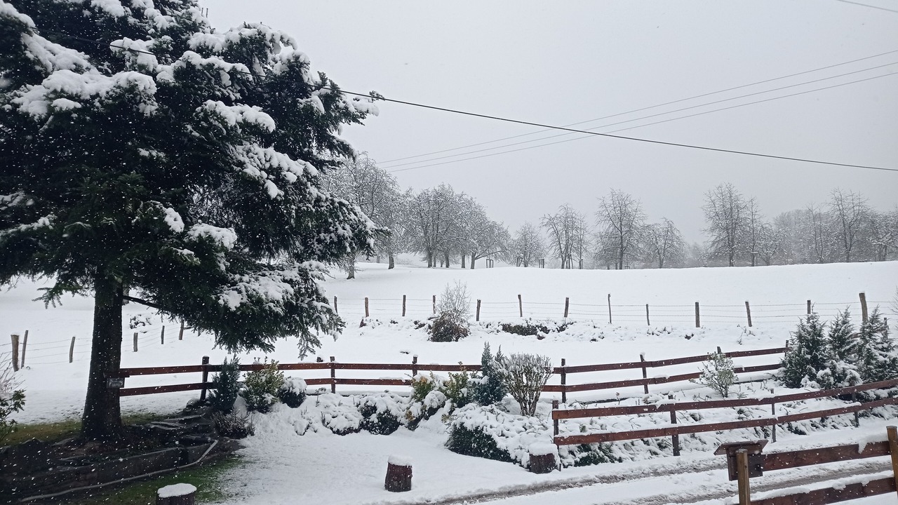 Photo of Others in Fougerolles-Saint-Valbert