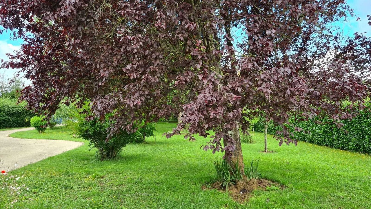 Photo of Outdoor in Morannes sur Sarthe-Daumeray