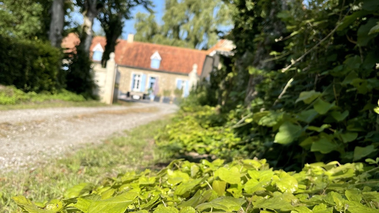 Photo of Outdoor in Hesdigneul-les-Boulogne