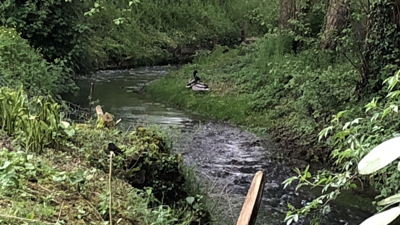 Photo of Outdoor in Touffreville