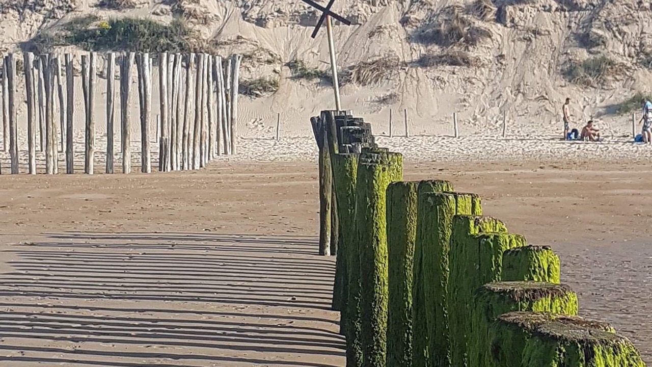 Photo of Others in Oye-Plage
