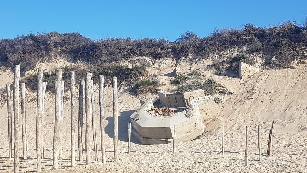 Photo of Others in Oye-Plage