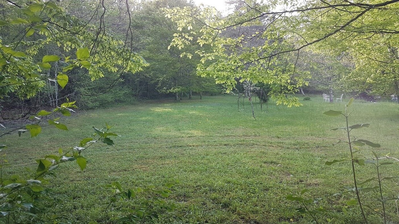 Photo of Others in Sougeres-en-Puisaye