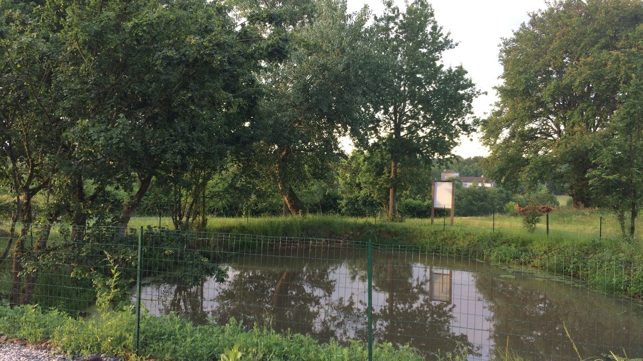 Photo of Outdoor in Sepvret