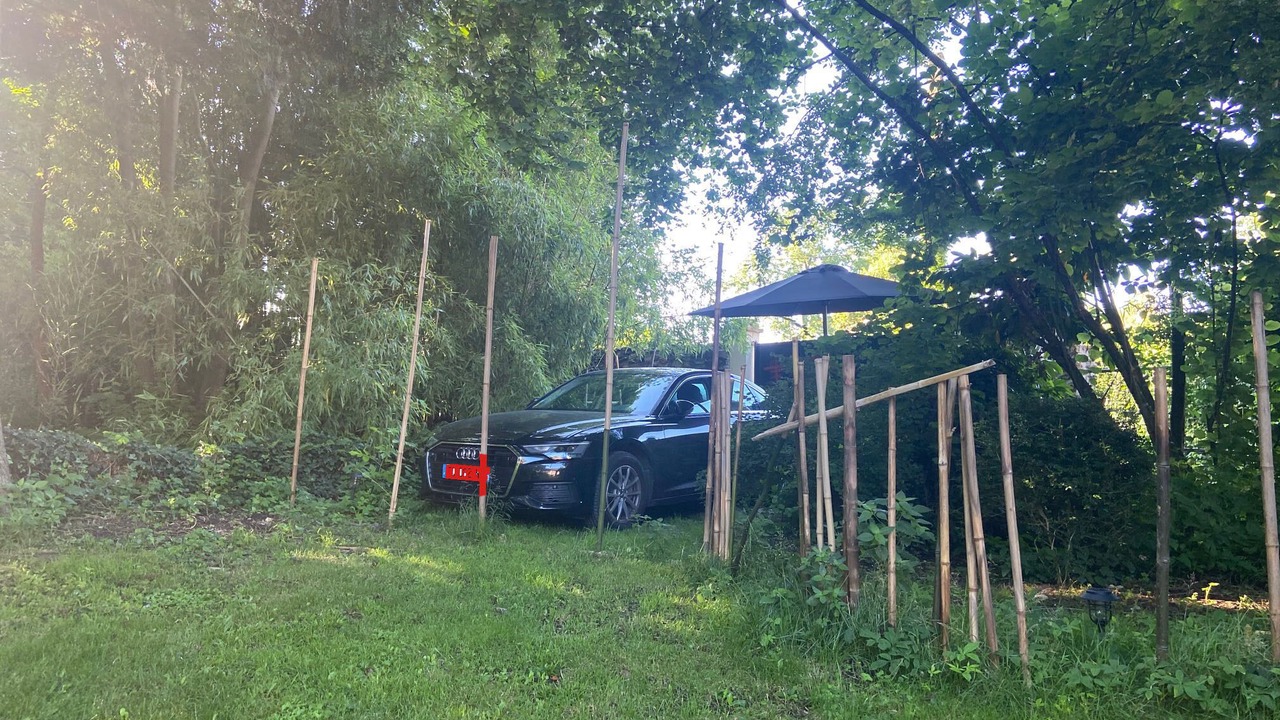 Photo of Outdoor in Saints