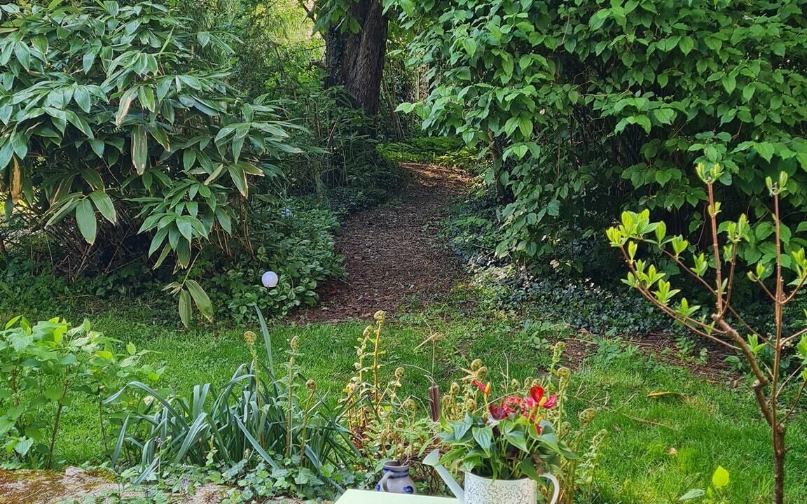Photo of Outdoor in Saints