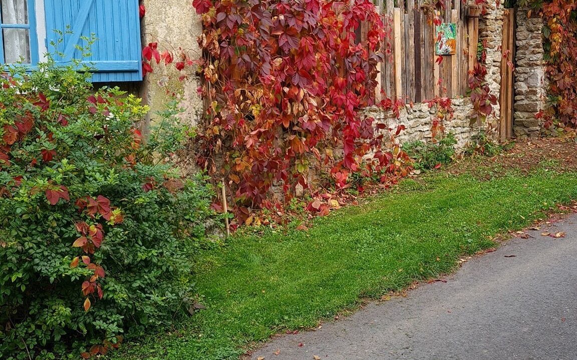 Photo of Outdoor in Saints