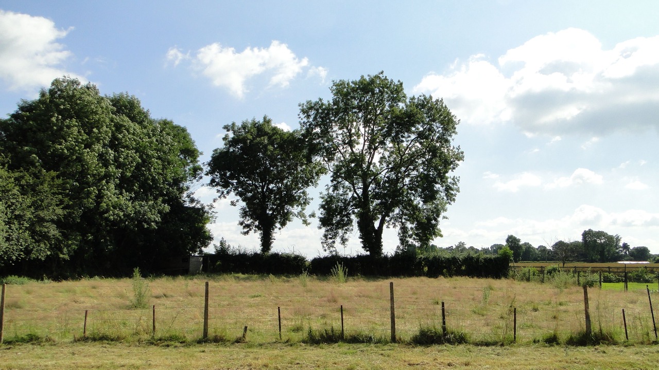 Photo of Outdoor in Epreville-en-Lieuvin