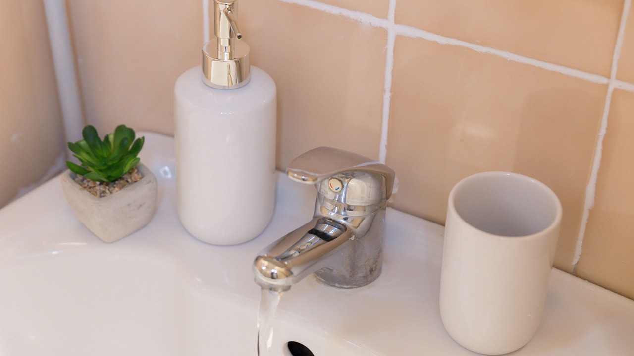 Photo of Bathroom in Notre-Dame