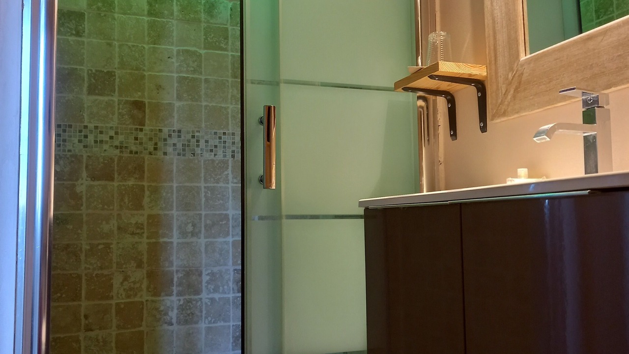 Photo of Bathroom in La Riviere-Saint-Sauveur