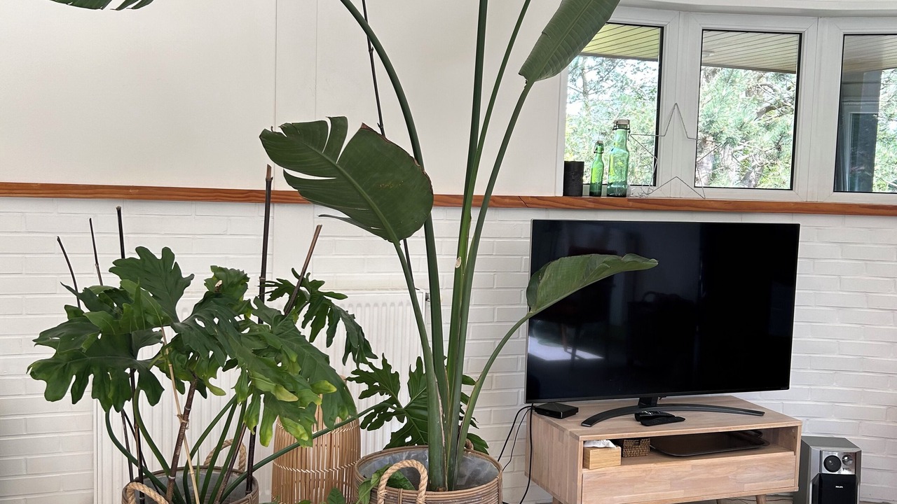 Photo of Livingroom in Saint-Etienne-au-Mont