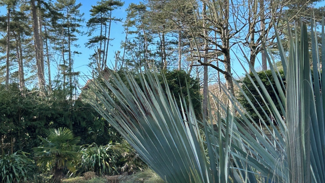 Photo of Outdoor in Saint-Etienne-au-Mont