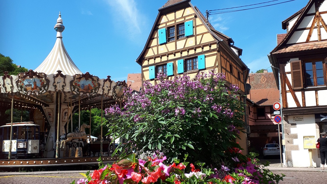 Photo of Outdoor in Obernai