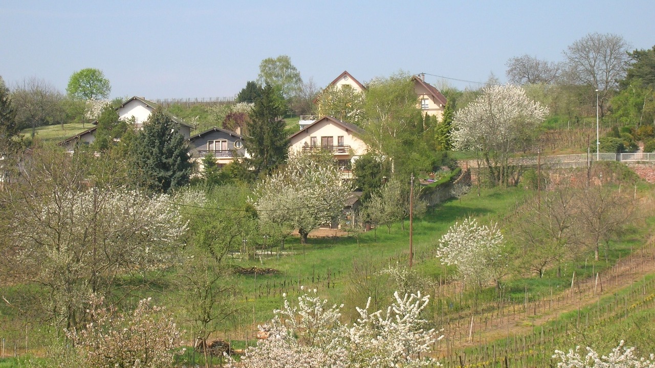 Photo of Outdoor in Obernai