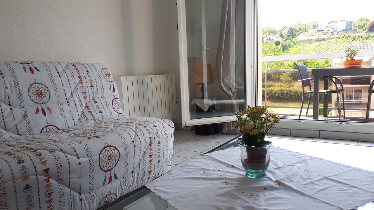 Photo of Livingroom in Obernai