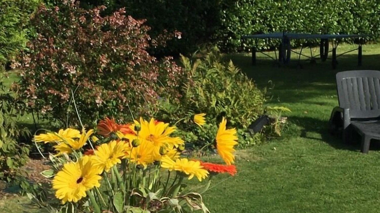 Photo of Outdoor in Saint-Josse
