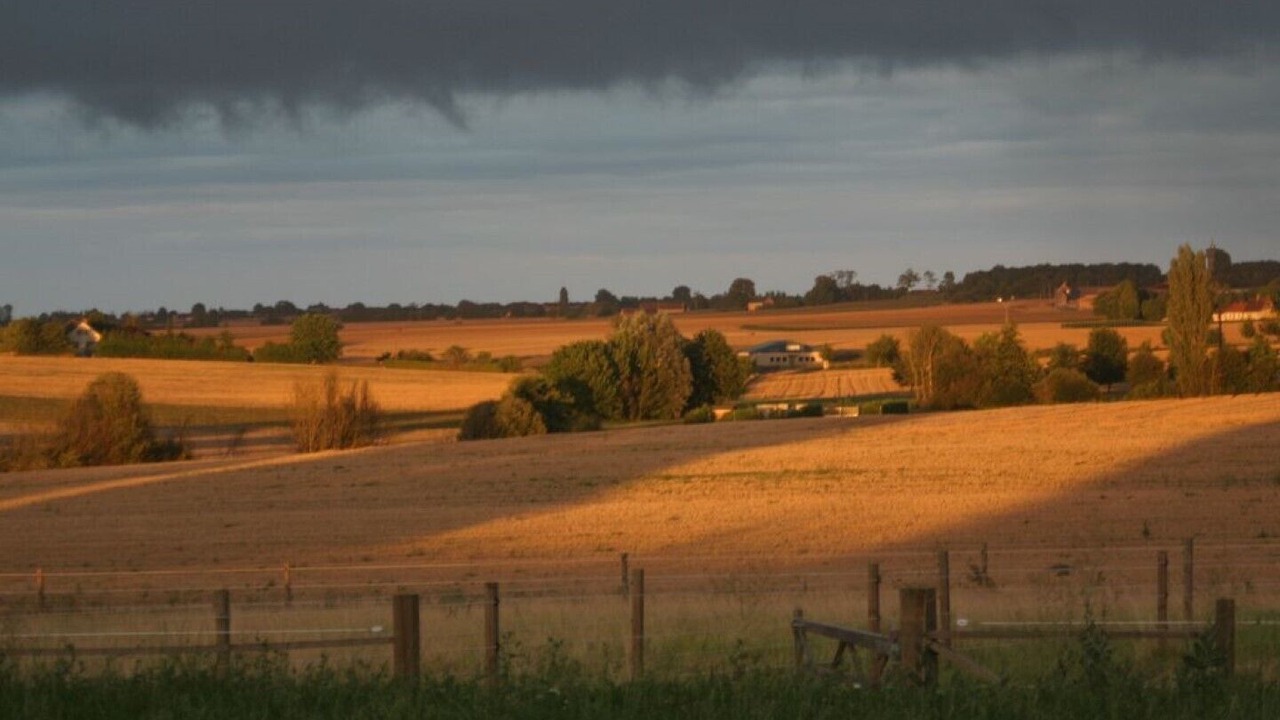 Photo of Outdoor in Cussay