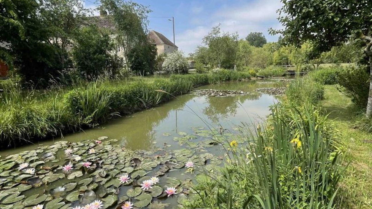 Photo of Outdoor in Sarceaux
