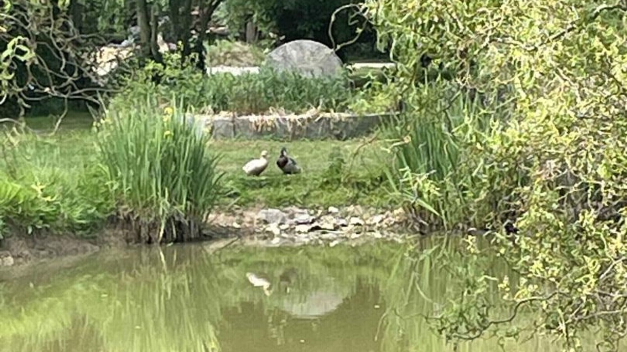 Photo of Outdoor in Sarceaux