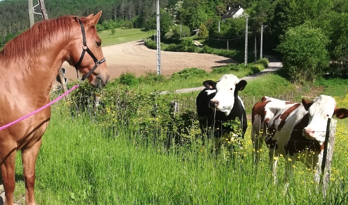 Photo of Outdoor in Arcy-sur-Cure