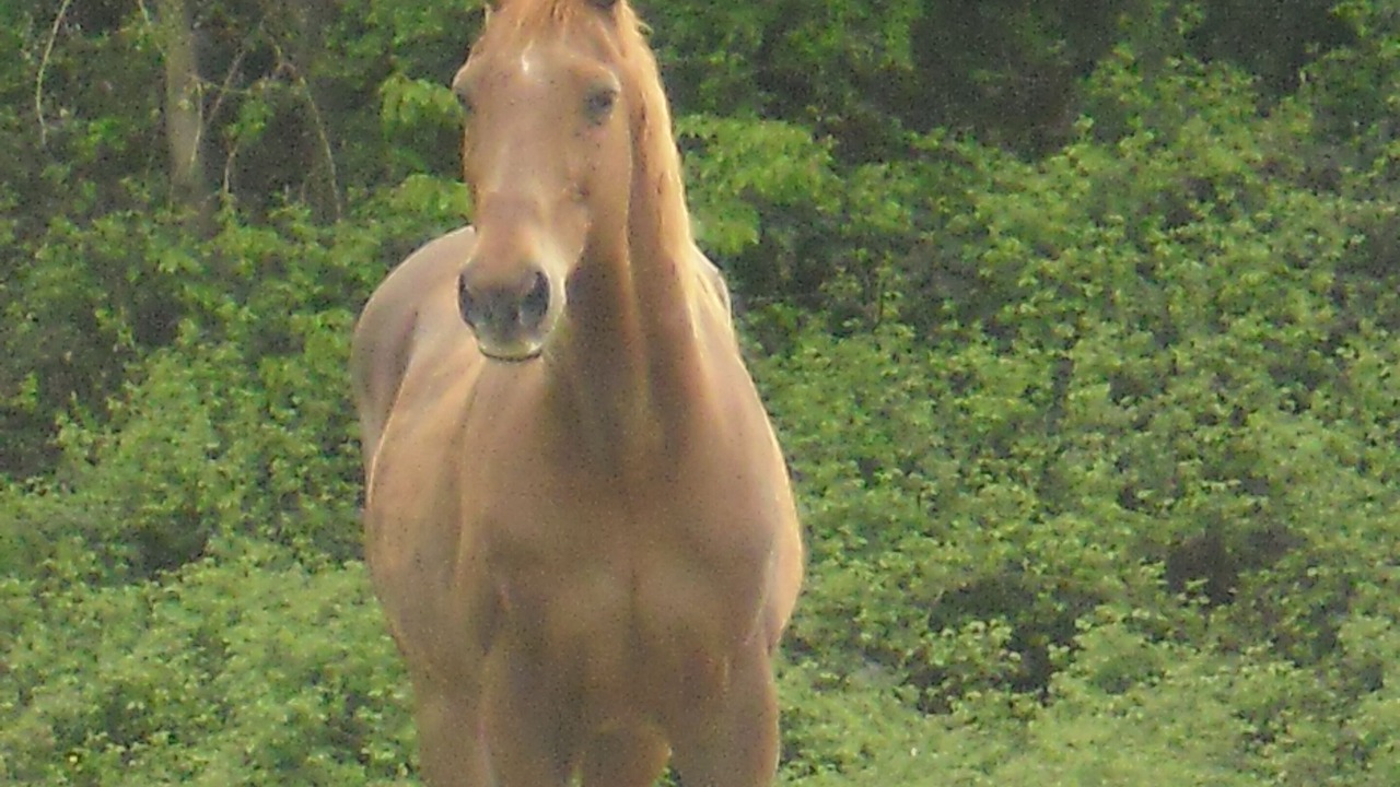 Photo of Outdoor in Paulmy