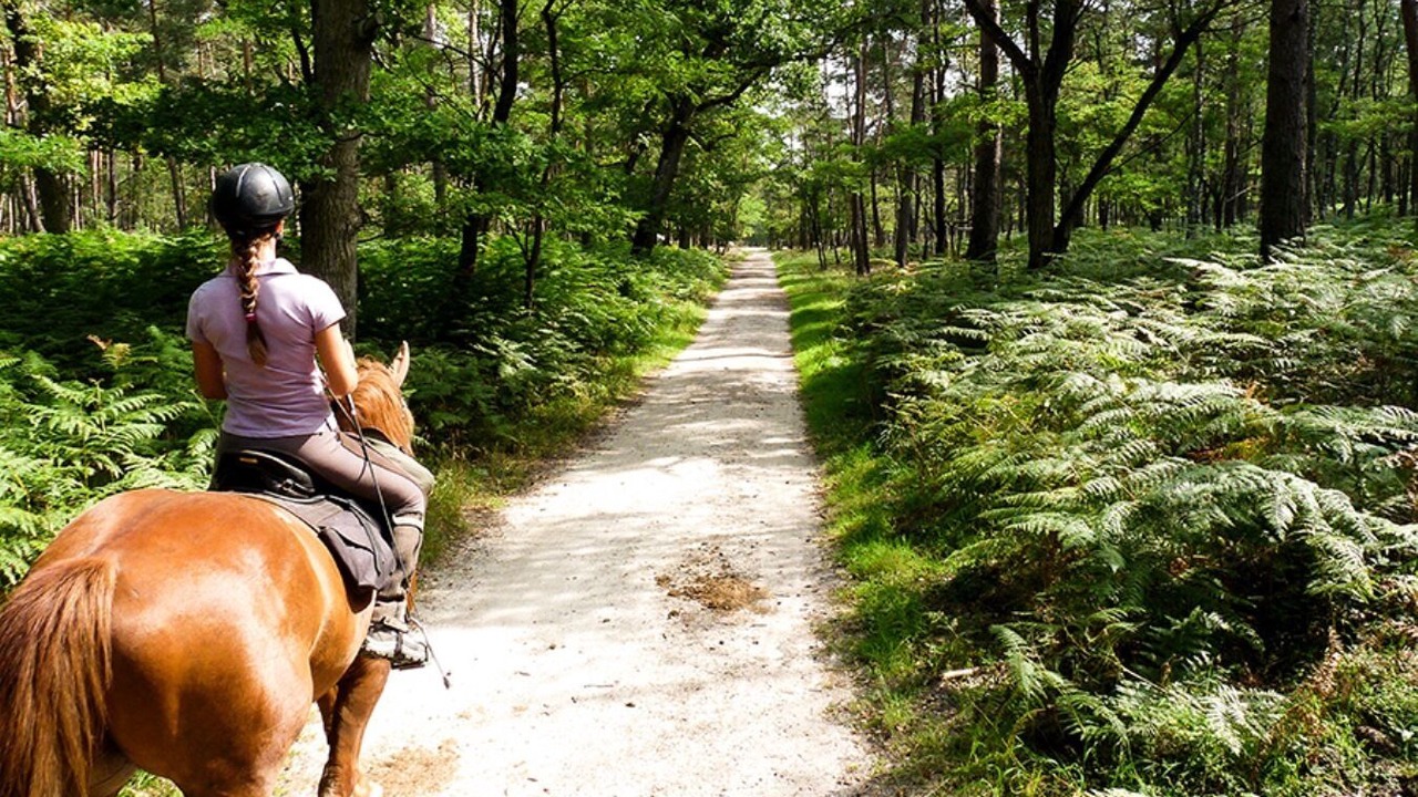 Photo of Outdoor in Milly-la-Foret