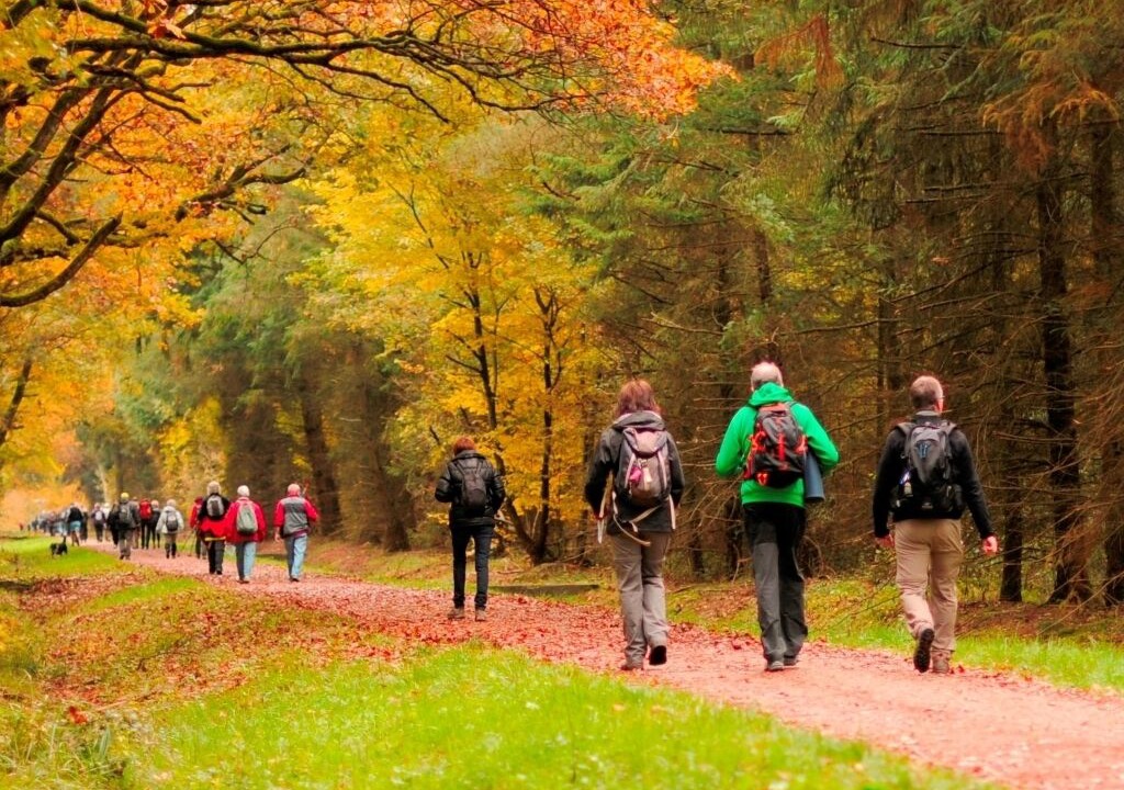 Photo of Others in Milly-la-Foret