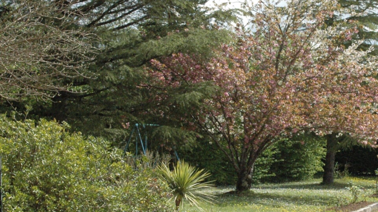Photo of Outdoor in Jonzac