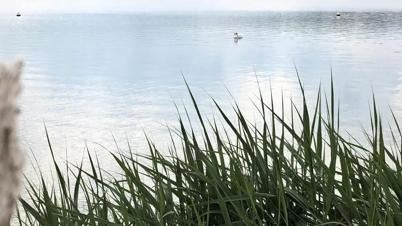 Photo of Others in Villegusien-le-Lac